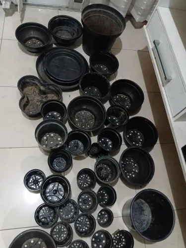 Vasos de plantas 