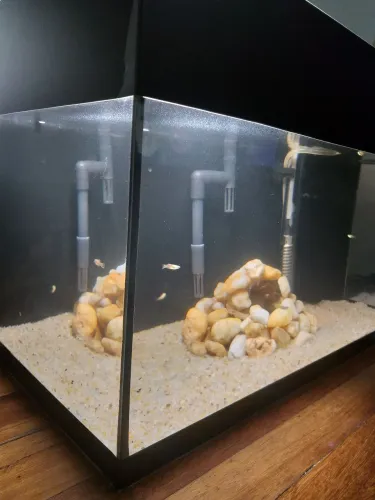 Aquário Completo 30L