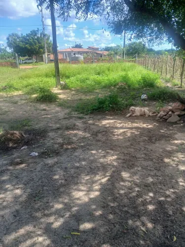 Site 