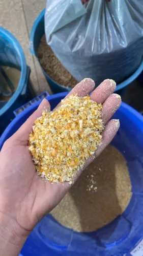Milho em Grãos Safra Nova e Demais Produtos Agricolas