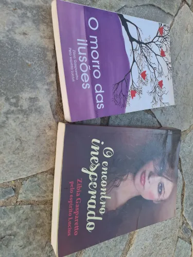 Livros Zibia Gasparetto
