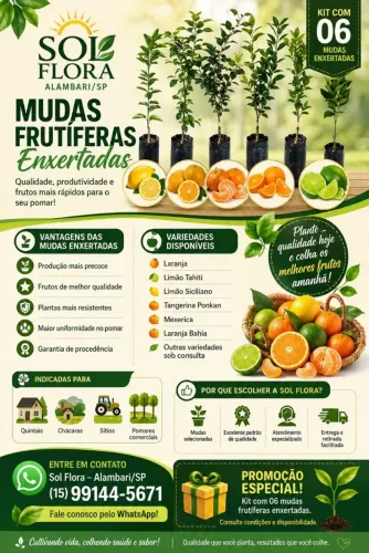 Mudas Frutíferas