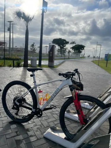 Bike elleven 29