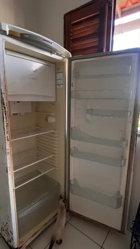 ? Geladeira Consul Facilite Frost Free ?