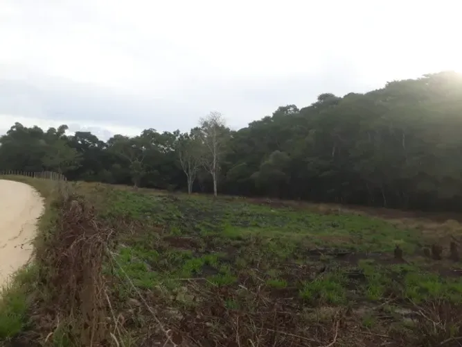 Área Rural com 19.000 metros quadrados, na Estrada dos Anchietas, Palmital Saquarema-RJ