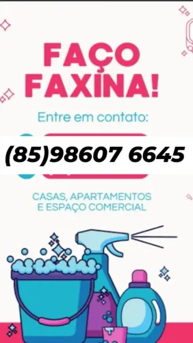 Faxina Diarista 