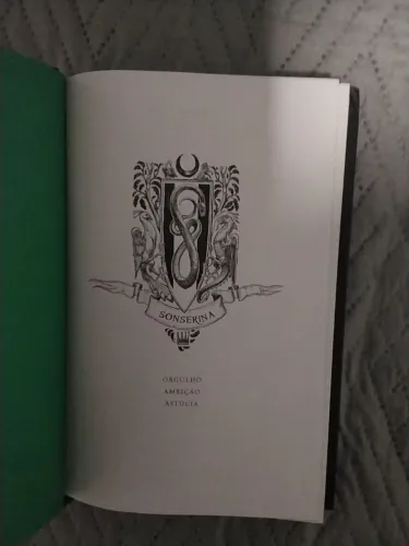 Dois livros Harry Potter Novos, por 70 reais. Edição especial da casa de Sonserina. 