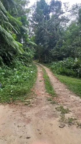 Sítio com casa de alvenaria e piscina no Sítio São João em Bertioga