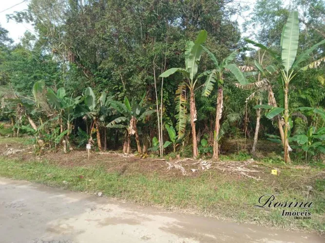 Terreno à venda, 4.000 m² por R$ 254.400 - Barreiros - Morretes/PR