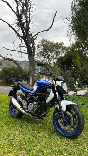 Suzuki Gladius