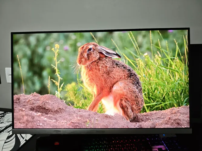 Monitor Samsung 28" 4K UR55 (U28R550) - IPS, HDR10, FreeSync (Excelente Estado)