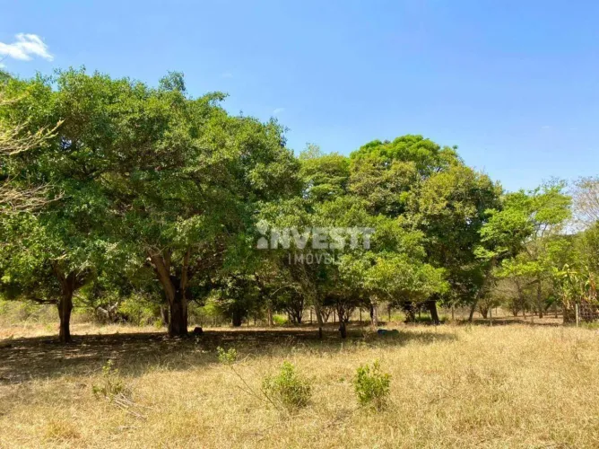 Chácara à venda na Zona Rural - Bela Vista de Goiás/GO