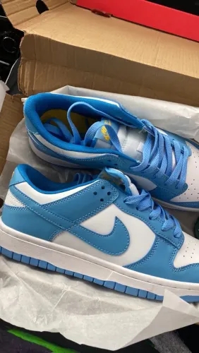 Tenis nike dunk