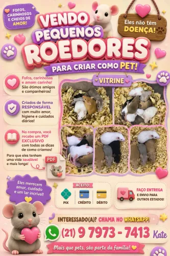 Camundongos