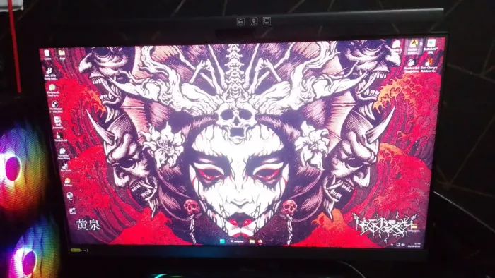Monitor gamer 