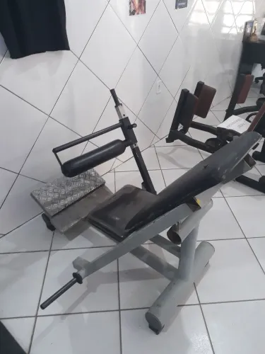Máquina de academia ELEVAÇÃO PÉLVICA. 