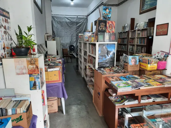 Acervo de livraria/sebo à venda 