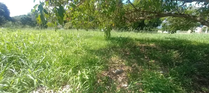 Terreno à venda, 611 m² por R$ 123.000,00 - Ubatiba - Maricá/RJ