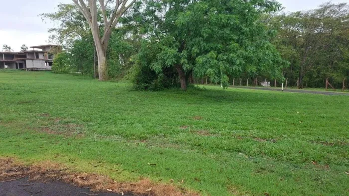 Terreno à venda, Nova Iacanga, Iacanga, SP