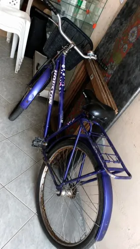 Bicicleta de cestinha