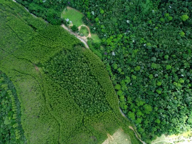 Vende-se linda propriedade em São Bento de Urânia, Alfredo Chaves-ES