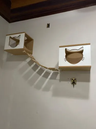 Nichos para gatos