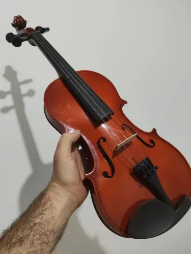 Violino