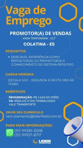 PROMOTOR DE VENDAS