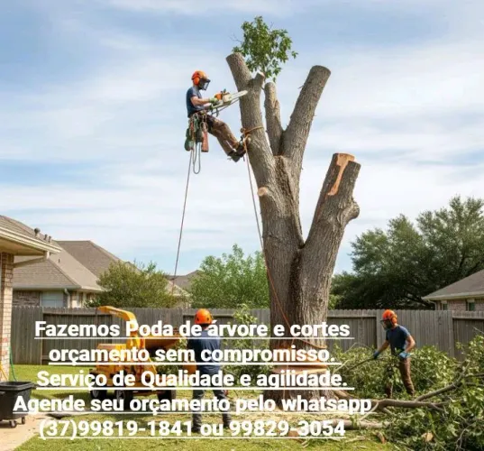 Serviço de Poda de árvore