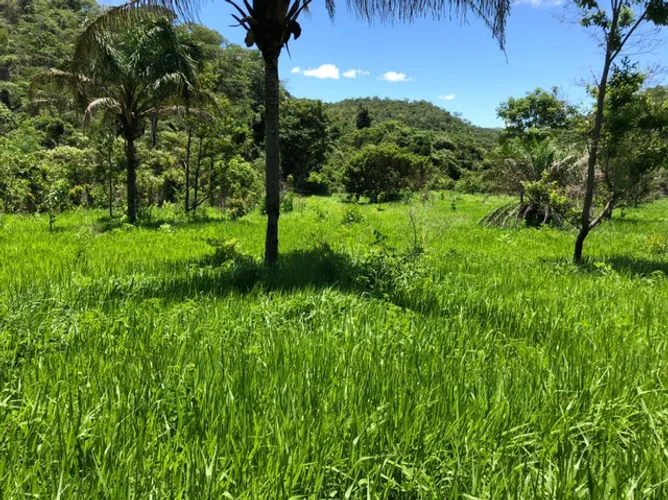Fazenda em Monte do Carmo - Tocantins. 40mil.