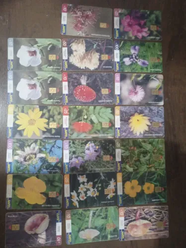 Cartão antel internacional do Uruguay flores sortidas
