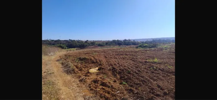Alugar terra Pará plantio de Ortas terra muito boa 