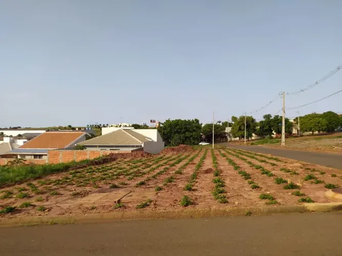 Terreno em Japurá 300 metros quadrados ! Tamanho diferenciado no loteamento. Aceito carro
