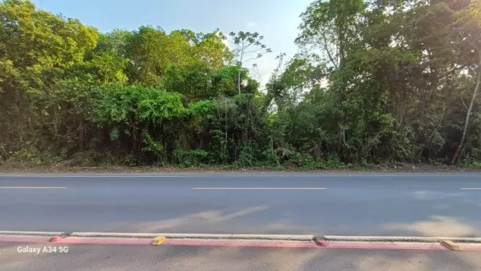 Moura Gesto Imobiliario vende 1 terreno na Estrada de Alter do Chão km 17 com 18.000m2,