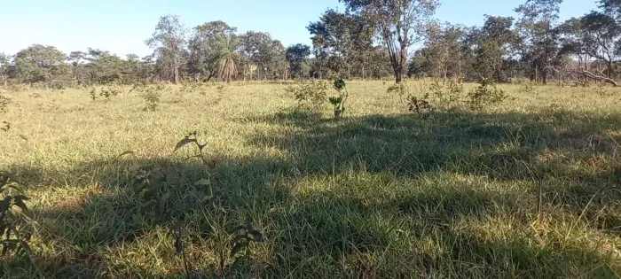 Fazenda pra lavoura com 100% aproveitamentos 