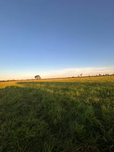 Fazenda de 97 alqu Aparecida do Tabuado