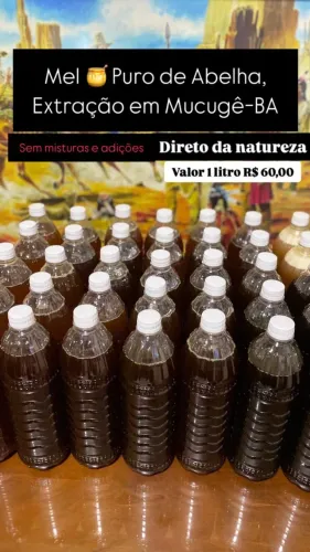 Mel de Abelha Puro 