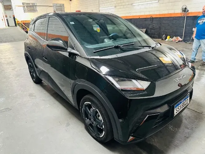 BYD 100 % ELETRICO