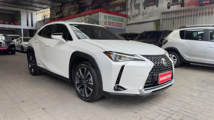 Lexus UX-250H Dynamic 2.0 16V Aut.(hybrid) 2020