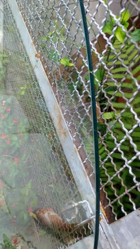  Vidro de Mesa 2.20x1.20    10mm..