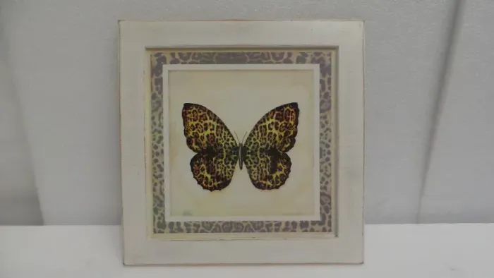 MINI QUADRO EM GRAVURA DE BORBOLETA MEDINDO 27 CM X 27 CM