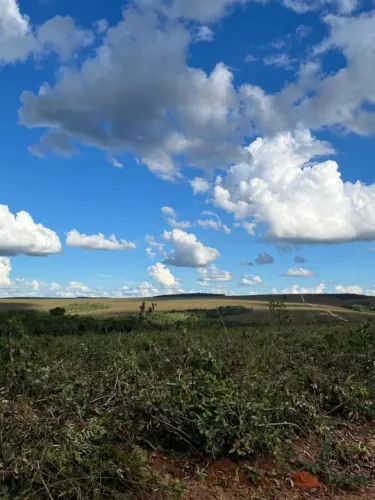 Fazenda 8.200hect em.paranatinga MT. 4300 abertos R$:150 sacas p/ hect.