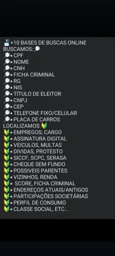 DETETIVE PARTICULAR