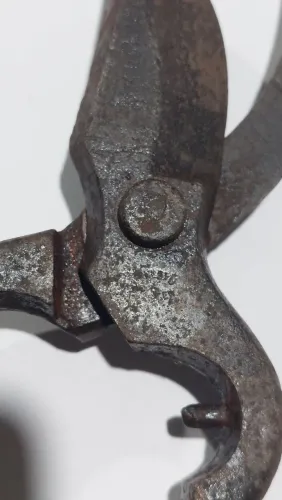 Antiga Tesoura de poda Ernesto Solingen