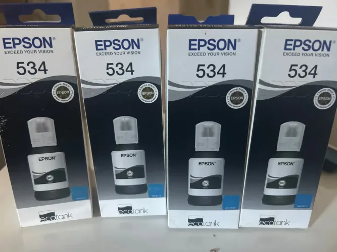 4 por 100 EPSON 534