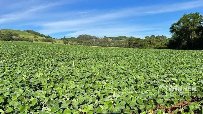 Área à venda, 580800 m² por R$ 3.500 por Saca de Soja - Zona Rural - São Pedro do Iguaçu/P