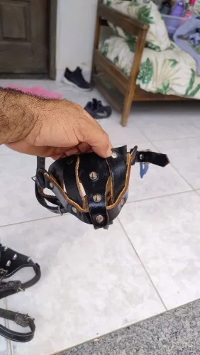 Fucinheira e peitoral personalizado para cão de médio ou grande porte
