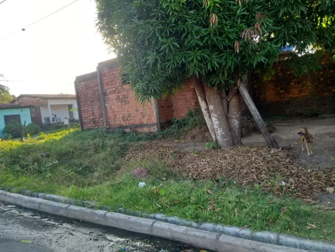 Área 10×20, com imovel em acabamento toda na LAJE 55 mil