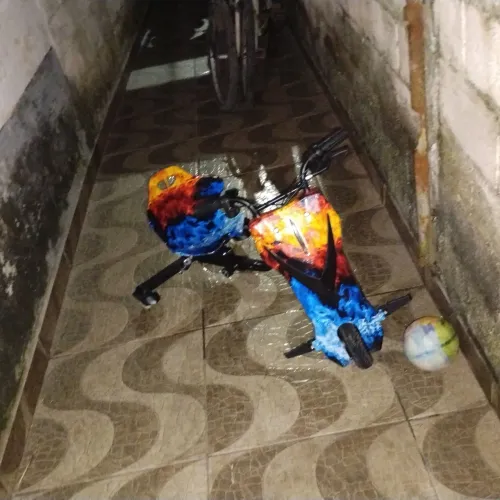 Triciclo moto elétrica