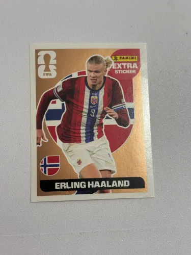 LEGENDE HAALAND BRONZE